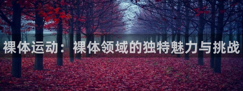vsport体育在线官网