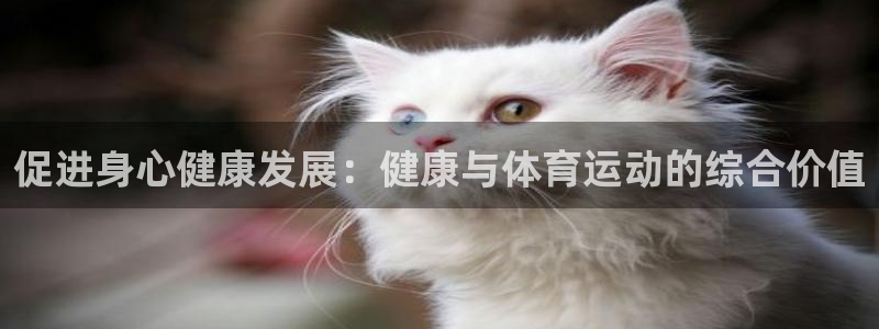 vsport体育在线官网