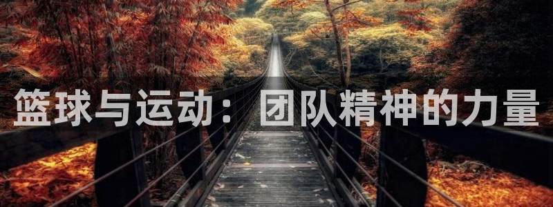 vsport体育在线官网