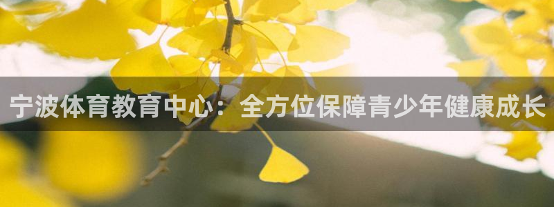 vsport体育在线官网