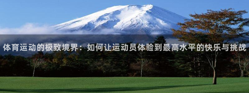 vsport体育在线官网