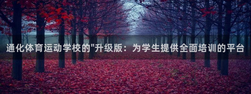 vsport体育在线官网