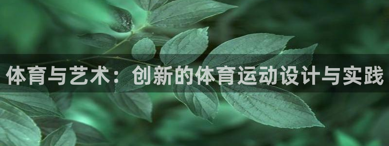 vsport体育在线官网