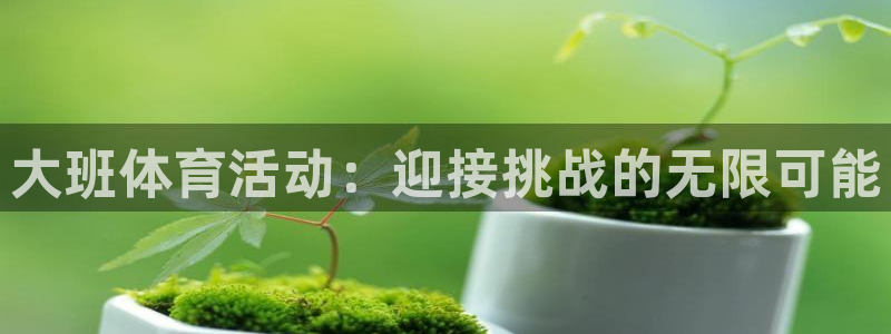 vsport体育在线官网