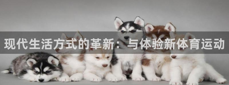 vsport体育在线官网