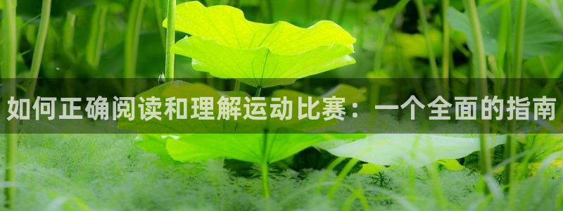 vsport体育在线官网