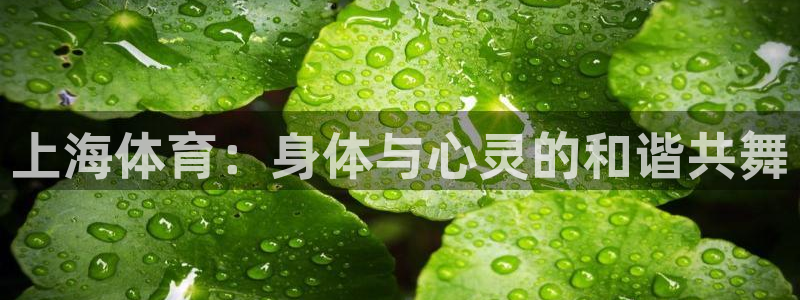 vsport体育在线官网